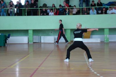 wushu